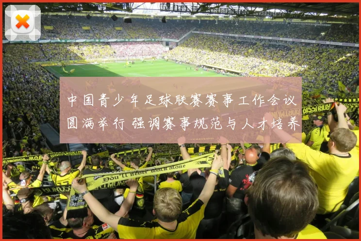 中国青少年足球联赛赛事工作会议圆满举行 强调赛事规范与人才培养